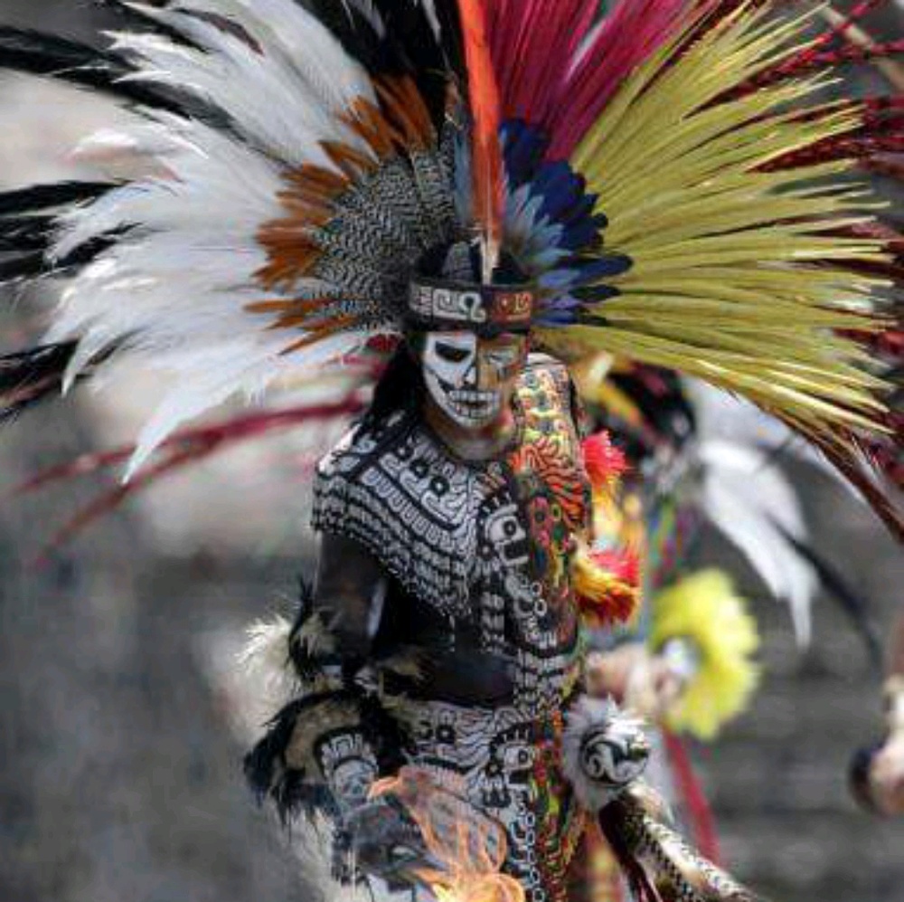 Meet your Posher, Paige